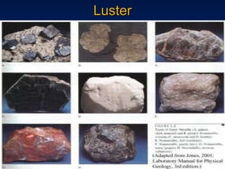 Luster 