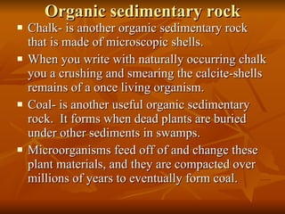Organic sedimentary rock Chalk- is another organic sedimentary rock that is made of microscopic shells. When you write with naturally occurring chalk you a crushing and smearing the calcite-shells remains of a once living organism. Coal- is another useful organic sedimentary rock.  It forms when dead plants are buried under other sediments in swamps. Microorganisms feed off of and change these plant materials, and they are compacted over millions of years to eventually form coal. 