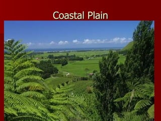 Coastal Plain 