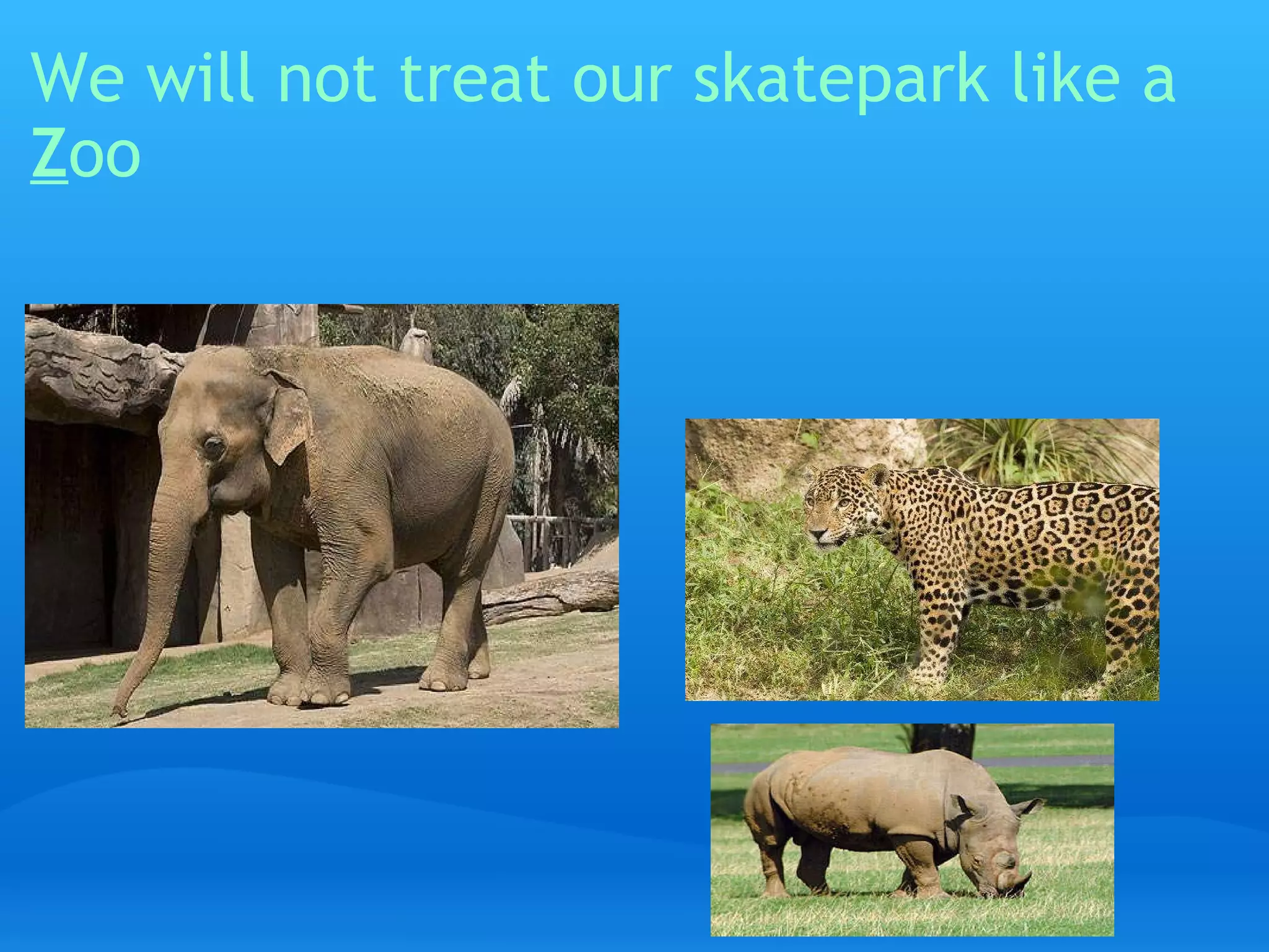 We will not treat our skatepark like a  Z oo   