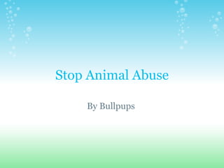 Stop Animal Abuse By Bullpups  