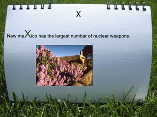 X

     Xico has the largest number of nuclear weapons.
New me
 