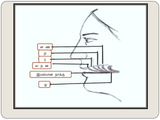 ,ay;ghd ehf;F
oo
s z
u
w
y e d
 