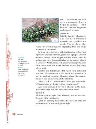 Honeydew
112
112
112
112
112
rain. The hillsides are lush
as late-monsoon flowers
begin to appear — wild
balsam, dahlias, begonias
and ground orchids.
August 31
August 31
August 31
August 31
August 31
It is the last day of August,
and the lush monsoon
growth has reached its
peak. The seeds of the
cobra lily are turning red, signifying that the rains
are coming to an end.
In a few days the ferns will start turning yellow, but
right now they are still firm, green and upright. Ground
orchids, mauve lady’s slipper and the white butterfly
orchids put on a fashion display on the grassy slopes
of Landour. Wild dahlias, red, yellow and magenta, rear
their heads from the rocky crevices where they have
taken hold.
Snakes and rodents, flooded out of their holes and
burrows, take shelter in roofs, attics and godowns. A
shrew, weak of eyesight, blunders about the rooms,
much to the amusement of the children.
“Don’t kill it,” admonishes their grandmother.
“Chuchundars are lucky — they bring money!”
And sure enough, I receive a cheque in the mail.
Not a very large one, but welcome all the same.
October 3
October 3
October 3
October 3
October 3
We have gone straight from monsoon into winter rain.
Snow at higher altitudes.
After an evening hailstorm, the sky and hills are
suffused with a beautiful golden light.
crevices:
narrow
openings or
cracks in rock
or wall
shrew:
(find its Hindi
equivalent in
the next
sentence)
 