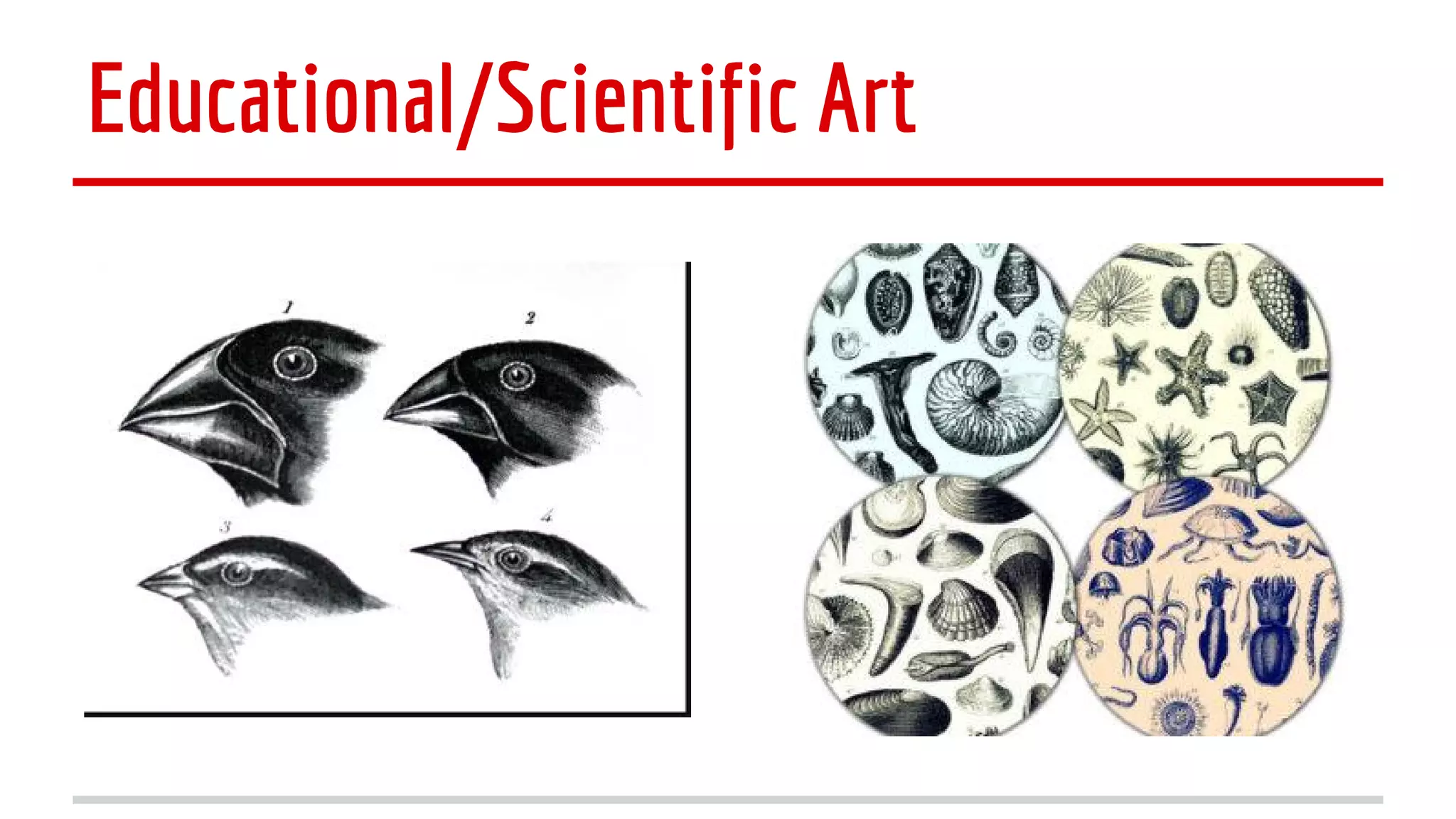 Educational/Scientific Art

 