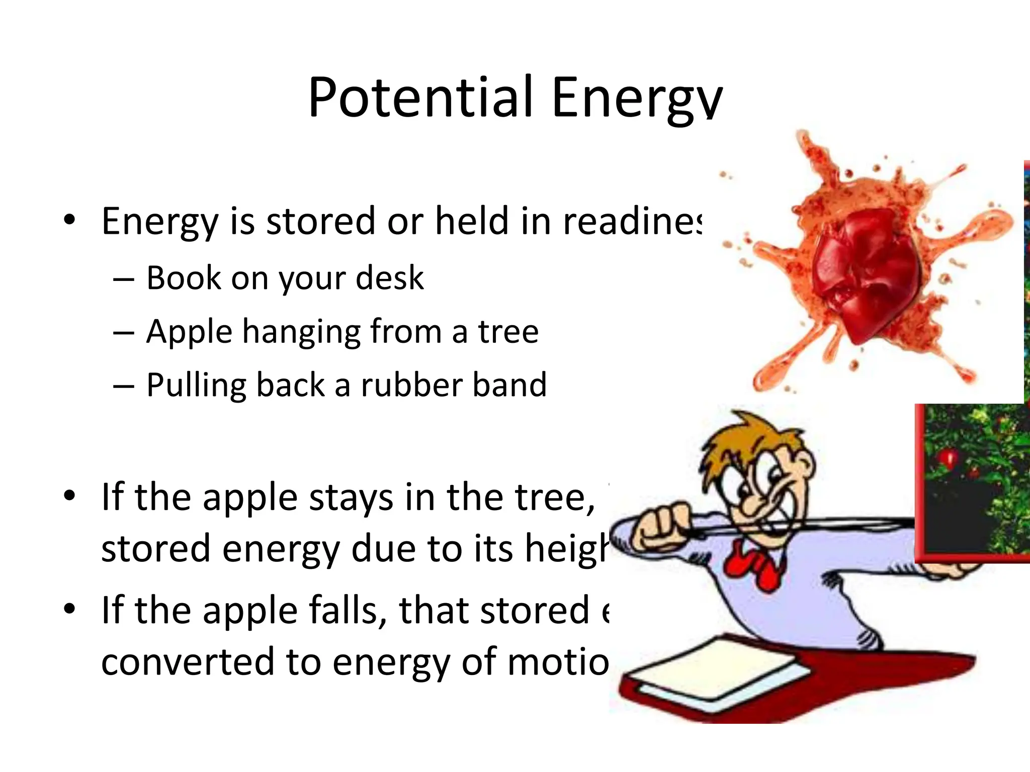 Potential Energy
• Energy is stored or held in readiness
– Book on your desk
– Apple hanging from a tree
– Pulling back a rubber band
• If the apple stays in the tree, it will keep the
stored energy due to its height above the ground.
• If the apple falls, that stored energy of position is
converted to energy of motion.
 