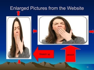 Enlarged Pictures from the Website stretch Stretch up 