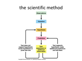8th grade science | PPTX