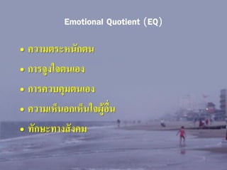 Emotional Quotient (EQ)
• ความตระหนักตน
• การจูงใจตนเอง
• การควบคุมตนเอง
• ความเห็นอกเห็นใจผู้อื่น
• ทักษะทางสั งคม

 