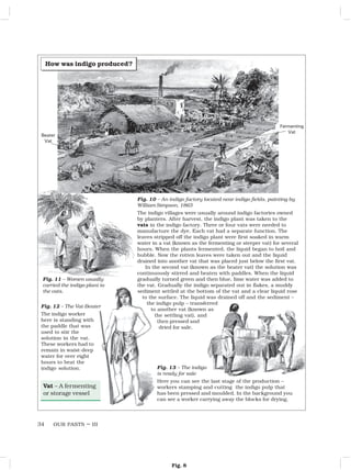 OUR PASTS – III
34
Fig. 8
Fig. 13 – The indigo
is ready for sale
Here you can see the last stage of the production –
workers stamping and cutting the indigo pulp that
has been pressed and moulded. In the background you
can see a worker carrying away the blocks for drying.
Fig. 12 – The Vat-Beater
The indigo worker
here is standing with
the paddle that was
used to stir the
solution in the vat.
These workers had to
remain in waist-deep
water for over eight
hours to beat the
indigo solution.
Fig. 11 – Women usually
carried the indigo plant to
the vats.
Vat – A fermenting
or storage vessel
Fig. 10 – An indigo factory located near indigo fields, painting by
William Simpson, 1863
The indigo villages were usually around indigo factories owned
by planters. After harvest, the indigo plant was taken to the
vats in the indigo factory. Three or four vats were needed to
manufacture the dye. Each vat had a separate function. The
leaves stripped off the indigo plant were first soaked in warm
water in a vat (known as the fermenting or steeper vat) for several
hours. When the plants fermented, the liquid began to boil and
bubble. Now the rotten leaves were taken out and the liquid
drained into another vat that was placed just below the first vat.
In the second vat (known as the beater vat) the solution was
continuously stirred and beaten with paddles. When the liquid
gradually turned green and then blue, lime water was added to
the vat. Gradually the indigo separated out in flakes, a muddy
sediment settled at the bottom of the vat and a clear liquid rose
to the surface. The liquid was drained off and the sediment –
the indigo pulp – transferred
to another vat (known as
the settling vat), and
then pressed and
dried for sale.
Fermenting
Vat
Beater
Vat
How was indigo produced?
 