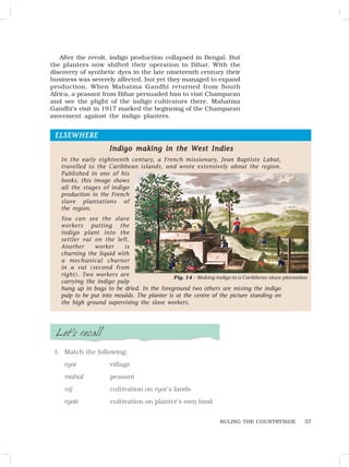 37
ELSEWHERE
ELSEWHERE
ELSEWHERE
ELSEWHERE
ELSEWHERE
Indigo making in the W
Indigo making in the W
Indigo making in the W
Indigo making in the W
Indigo making in the West Indies
est Indies
est Indies
est Indies
est Indies
In the early eighteenth century, a French missionary, Jean Baptiste Labat,
travelled to the Caribbean islands, and wrote extensively about the region.
Published in one of his
books, this image shows
all the stages of indigo
production in the French
slave plantations of
the region.
You can see the slave
workers putting the
indigo plant into the
settler vat on the left.
Another worker is
churning the liquid with
a mechanical churner
in a vat (second from
right). Two workers are
carrying the indigo pulp
hung up in bags to be dried. In the foreground two others are mixing the indigo
pulp to be put into moulds. The planter is at the centre of the picture standing on
the high ground supervising the slave workers.
RULING THE COUNTRYSIDE
Let’s recall
1. Match the following:
ryot village
mahal peasant
nij cultivation on ryot’s lands
ryoti cultivation on planter’s own land
After the revolt, indigo production collapsed in Bengal. But
the planters now shifted their operation to Bihar. With the
discovery of synthetic dyes in the late nineteenth century their
business was severely affected, but yet they managed to expand
production. When Mahatma Gandhi returned from South
Africa, a peasant from Bihar persuaded him to visit Champaran
and see the plight of the indigo cultivators there. Mahatma
Gandhi’s visit in 1917 marked the beginning of the Champaran
movement against the indigo planters.
Fig. 14 – Making indigo in a Caribbean slave plantation
 