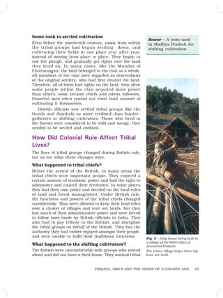 43
Some took to settled cultivation
Even before the nineteenth century, many from within
the tribal groups had begun settling down, and
cultivating their fields in one place year after year,
instead of moving from place to place. They began to
use the plough, and gradually got rights over the land
they lived on. In many cases, like the Mundas of
Chottanagpur, the land belonged to the clan as a whole.
All members of the clan were regarded as descendants
of the original settlers, who had first cleared the land.
Therefore, all of them had rights on the land. Very often
some people within the clan acquired more power
than others, some became chiefs and others followers.
Powerful men often rented out their land instead of
cultivating it themselves.
British officials saw settled tribal groups like the
Gonds and Santhals as more civilised than hunter-
gatherers or shifting cultivators. Those who lived in
the forests were considered to be wild and savage: they
needed to be settled and civilised.
How Did Colonial Rule Affect Tribal
Lives?
The lives of tribal groups changed during British rule.
Let us see what these changes were.
What happened to tribal chiefs?
Before the arrival of the British, in many areas the
tribal chiefs were important people. They enjoyed a
certain amount of economic power and had the right to
administer and control their territories. In some places
they had their own police and decided on the local rules
of land and forest management. Under British rule,
the functions and powers of the tribal chiefs changed
considerably. They were allowed to keep their land titles
over a cluster of villages and rent out lands, but they
lost much of their administrative power and were forced
to follow laws made by British officials in India. They
also had to pay tribute to the British, and discipline
the tribal groups on behalf of the British. They lost the
authority they had earlier enjoyed amongst their people,
and were unable to fulfil their traditional functions.
What happened to the shifting cultivators?
The British were uncomfortable with groups who moved
about and did not have a fixed home. They wanted tribal
Bewar – A term used
in Madhya Pradesh for
shifting cultivation
TRIBALS, DIKUS AND THE VISION OF A GOLDEN AGE
Fig. 5 – A log house being built in
a village of the Nishi tribes of
Arunachal Pradesh.
The entire village helps when log
huts are built.
 