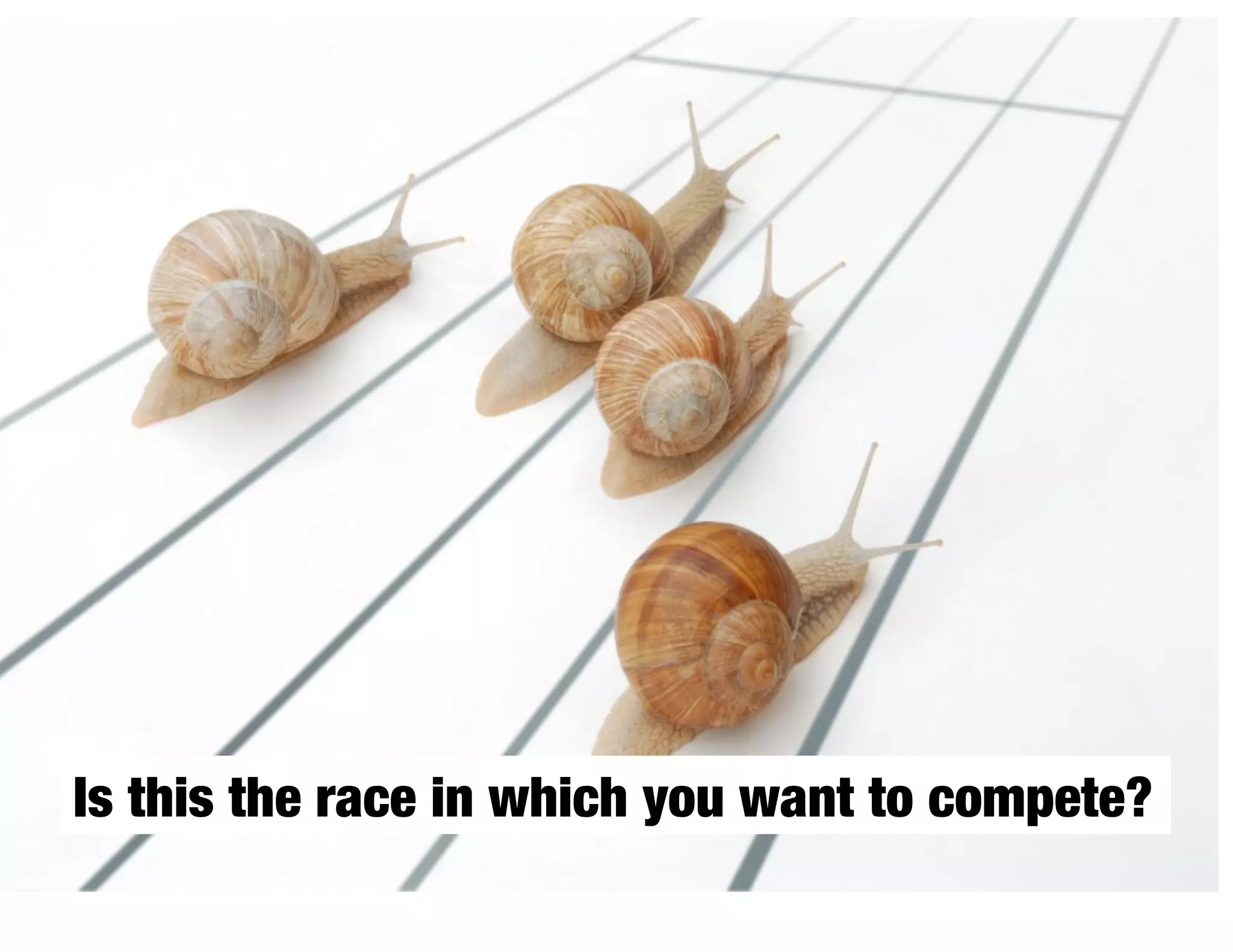Is this the race in which you want to compete?
 