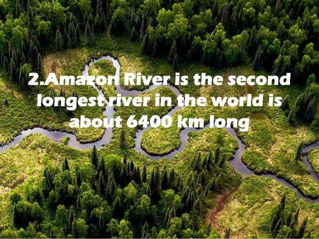 8 facts on amazon river 4 638