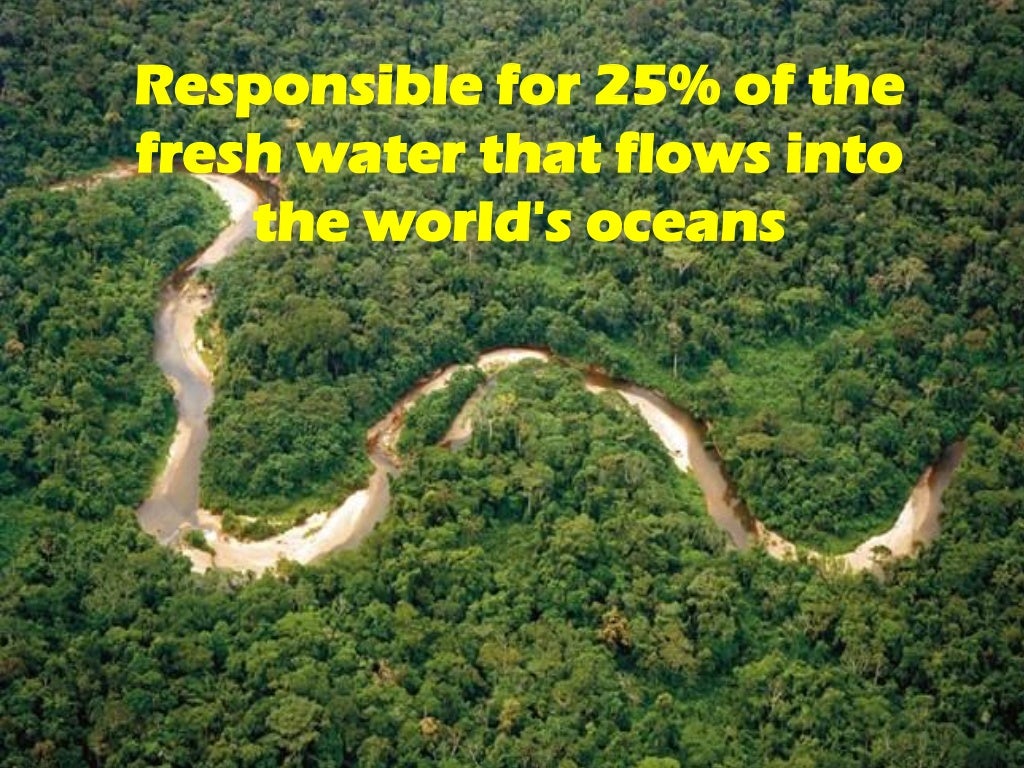 8 Facts on Amazon River