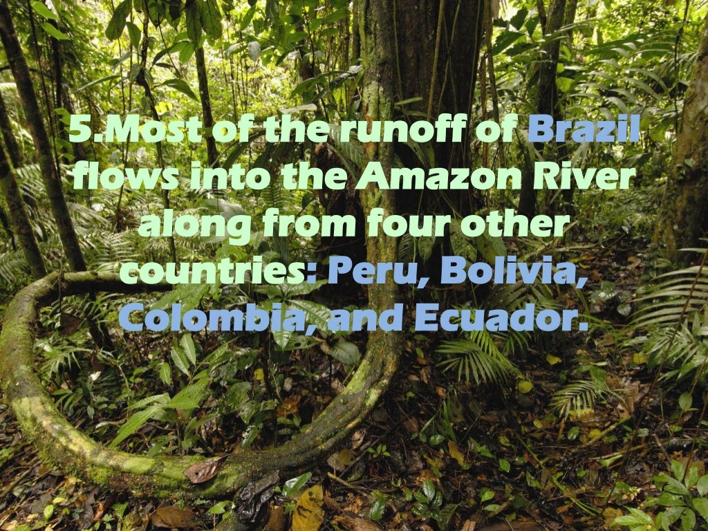 8 Facts On Amazon River