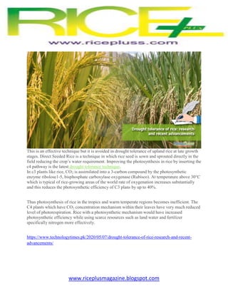 www.riceplusmagazine.blogspot.com
This is an effective technique but it is avoided in drought tolerance of upland rice at ...