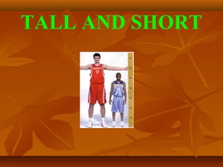 TALL AND SHORT
 