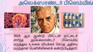 Tamil Nadu State - 8th std science micro-organism (bacteria & virus