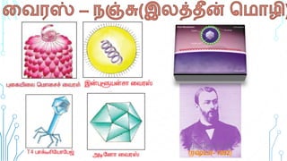 Tamil Nadu State - 8th std science micro-organism (bacteria & virus