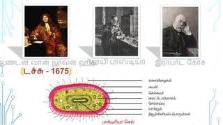 Tamil Nadu State - 8th std science micro-organism (bacteria & virus