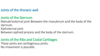 Joints of the thoracic wall
Joints of the Sternum
Manubriosternal joint Between the manubrium and the body of the
sternum.
Xiphisternal joint
Between xiphoid process and the body of the sternum.
Joints of the Ribs and Costal Cartilages
These joints are cartilaginous joints.
No movement is possible.
 