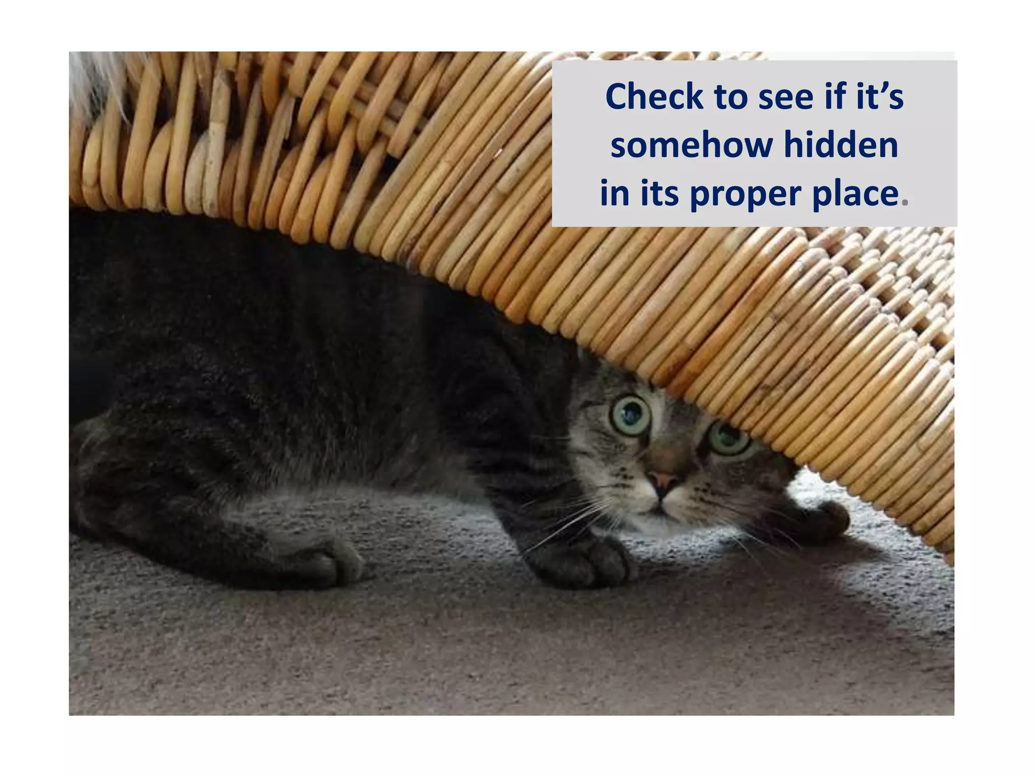 Check to see if it’s 
somehow hidden 
in its proper place. 
 