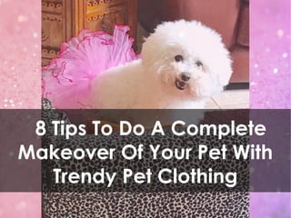 8 Tips To Do A Complete
Makeover Of Your Pet With
Trendy Pet Clothing
 