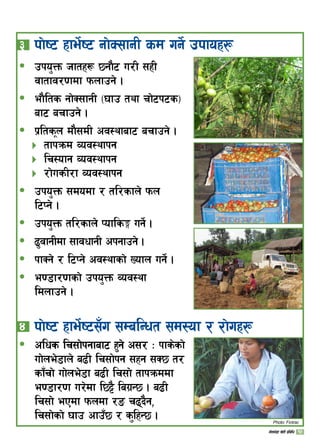 # 	kf]i6 xfe]{i6 gf]S;fgL sd ug]{ pkfox¿
pko'Qm hftx¿ 5gf}6 u/L ;xL
jftfj/0fdf kmnfpg] .
ef}lts gf]S;fgL -3fp tyf rf]6k6s_
af6 arfpg] .
k|ltsn df};dL cj:yfaf6 arfpg] .
tfkqmd Joj:yfkg
lr:ofg Joj:yfkg
/f]usL/f Joj:yfkg
pko'Qm ;dodf / tl/sfn] kmn
l6Kg] .
pko'Qm tl/sfn] Kofls· ug]{ .
9'jfgLdf ;fjwfgL ckgfpg] .
kfSg] / l6Kg] cj:yfsf] Vofn ug]{ .
e08f/0fsf] pko'Qm Joj:yf
ldnfpg] .
ð
ð
ð



ð
ð
ð
ð
ð
$ 	kf]i6 xfe]{i6;Fu ;DalGwt ;d:of / /f]ux¿
clws lr;f]kgfaf6 x'g] c;/ M kfs]sf]
uf]ne]8fn] a9L lr;f]kg ;xg ;S5 t/
sf“rf] uf]ne]8f a9L lr;f] tfkqmddf
e08f/0f u/]df l5§} lau|G5 . a9L
lr;f] ePdf kmndf /ª r9b}g,
lr;f]sf] 3fp cfp“5 / s'lxG5 .
ð
Photo: Fintrac
15uf]ne]+8f v]tL k|ljlw
 