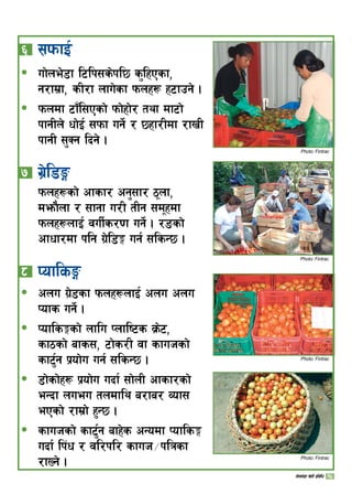 ^ 	;kmfO{
uf]ne]8f l6lk;s]kl5 s'lxPsf,
g/fd|f, sL/f nfu]sf kmnx¿ x6fpg] .
kmndf 6f“l;Psf] kmf]xf]/ tyf df6f]
kfgLn] wf]O{ ;kmf ug]{ / 5xf/Ldf /fvL
kfgL ;'Sg lbg] .
 	u|]l8Ë
kmnx¿sf] cfsf/ cg';f/ 7nf,
demf}nf / ;fgf u/L tLg ;dxdf
kmnx¿nfO{ juL{s/0f ug]{ . /ªsf]
cfwf/df klg u|]l8· ug{ ;lsG5 .
* 	KoflsË
cnu u|]8sf kmnx¿nfO{ cnu cnu
Kofs ug]{ .
Kofls·sf] nflu Knfli6s j|m]6,
sf7sf] afs;, 6f]s/L jf sfuhsf]
sf6{'g k|of]u ug{ ;lsG5 .
8f]sf]x¿ k|of]u ubf{ ;f]nL cfsf/sf]
eGbf nueu tndfly a/fa/ Jof;
ePsf] /fd|f] x'G5 .
sfuhsf] sf6{'g afx]s cGodf Kofls·
ubf{ lk+w / jl/kl/ sfuh÷klqsf
/fVg] .
ð
ð
ð
ð
ð
ð
Photo: Fintrac
Photo: Fintrac
Photo: Fintrac
Photo: Fintrac
17uf]ne]+8f v]tL k|ljlw
 