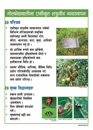 ! kl/ro
PsLs[t zq'hLj Joj:yfkg eg]sf]
ljleGg tl/sfx¿sf] ;d'lrt
k|of]uaf6 afnL lj?jfsf /f]u,
sL/f, emf/kft, r/f, d';f, cflbsf]
Joj:yfkg ug{' xf] .
of] cfly{s ¿kn] sd vlr{nf],
jftfj/0fLo b[li6sf]0fn] bLuf] /
:jf:Yosf b[li6sf]0fn] sd
xfgLsf/s ljlw xf] .
o;df ef}lts, oflGqs, h}ljs ljlw
k|of]u ul/;s]kl5 cfjZos k/]
dfq /f;folgs ljiffbLsf] ;s];Dd
sd k|of]u ul/G5 .
@ 	d'Vo l;4fGtx¿
:j:y afnL pTkfbg .
v]taf/Lsf] lgoldt
cjnf]sg .
ldq hLjsf] ;+/If0f
ug]{ .
s[ifsnfO{ a9L bIf
agfpg] .
ð
ð
ð
ð
ð
ð
ð
uf]ne]8fafnLdf PsLs[t zq'hLj Joj:yfkg
Photo: Fintrac
Photo: Colorado State
University
Photo: Clemson University Photo: Jack Dykinga
uf]ne]+8f v]tL k|ljlw
 