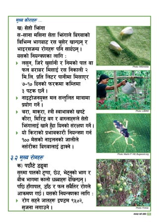 d'Vo sL/fx¿ ===
v_ ;]tf] lem+uf
;–;fgf dl;gf ;]tf lem+ufn] la?jfsf]
ljleGg efuaf6 /; r';]/ vfG5g /
efO/;hGo /f]ux¿ klg ;fb{5g .
o;sf] lgoGq0fsf nflu M
n;'g, lh/] v';f{gL / lgdsf] kft jf
kmn a/fa/ ld;fO{ /; lgsfnL @
ld=ln= k|lt ln6/ kfgLdf ld;fP/
–!) lbgsf] km/sdf slDtdf
# k6s 5g]{ .
gfO6«f]hgo'St dn ;Gt'lnt dfqfdf
k|of]u ug]{ .
r/f, dfs'/f, :qL :jfefjsf] vk6]
sL/f, ldl/8 ju / af?nfx¿n] ;]tf]
lem+ufnfO{ vfg] x'“bf logsf] ;+/If0f ug]{ .
of] ls/fsf] k|efjsf/L lgoGq0f ug{
!)) d];sf] gfOngsf] hfnLn]
g;{/Lsf la?jfnfO{ 9fSg] .
#=@ d'Vo /f]ux¿
s_ k5f}6] 89'jf
;'?df kftsf] 6'Kkf, 5]p, e]6g'sf] efu /
aLr efudf sfnf] wAafx¿ b]lvG5g .
kl5 xf“ufkft, 8f“7 / kmn ;a}lt/ /f]un]
cfqmd0f u5{ . o;sf] lgoGq0fsf nflu M
/f]u ;xg] hftx¿ O08d (%)@,
;[hgf nufpg] .





Photo: Wikimedia
Photo: LIBIRD
Photo: Martin P. Hill, Bugwood.org
Photo: Fintrac
uf]ne]+8f v]tL k|ljlw
 