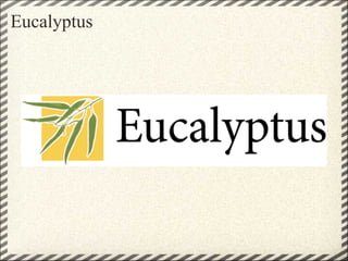 Eucalyptus
 