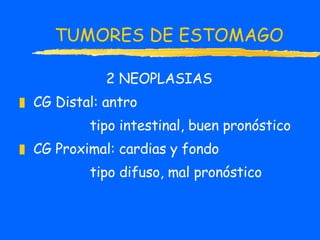 TUMORES DE ESTOMAGO 2 NEOPLASIAS CG Distal: antro tipo intestinal, buen pronóstico CG Proximal: cardias y fondo tipo difuso, mal pronóstico 
