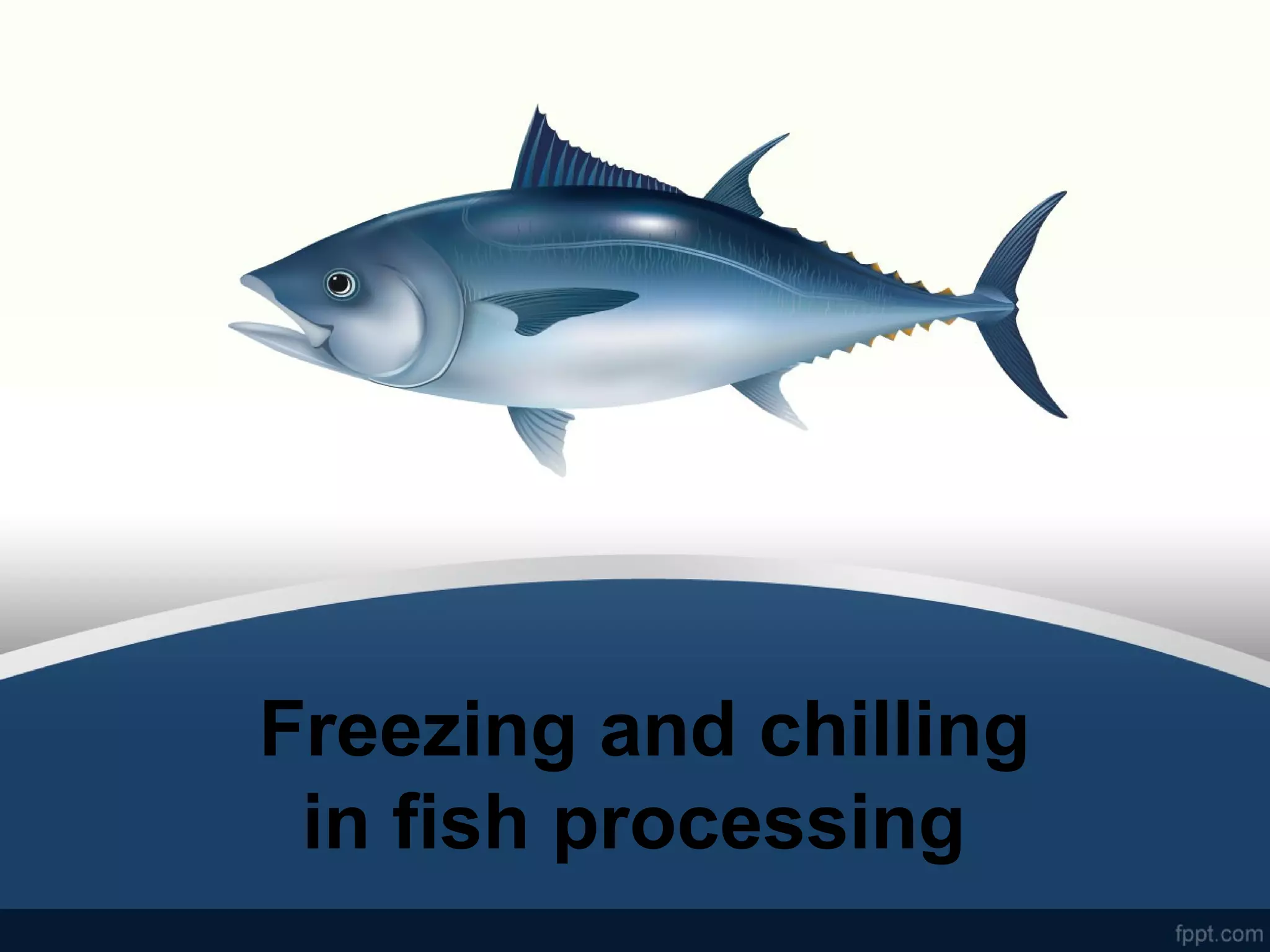 Freezing and chilling
in fish processing
 