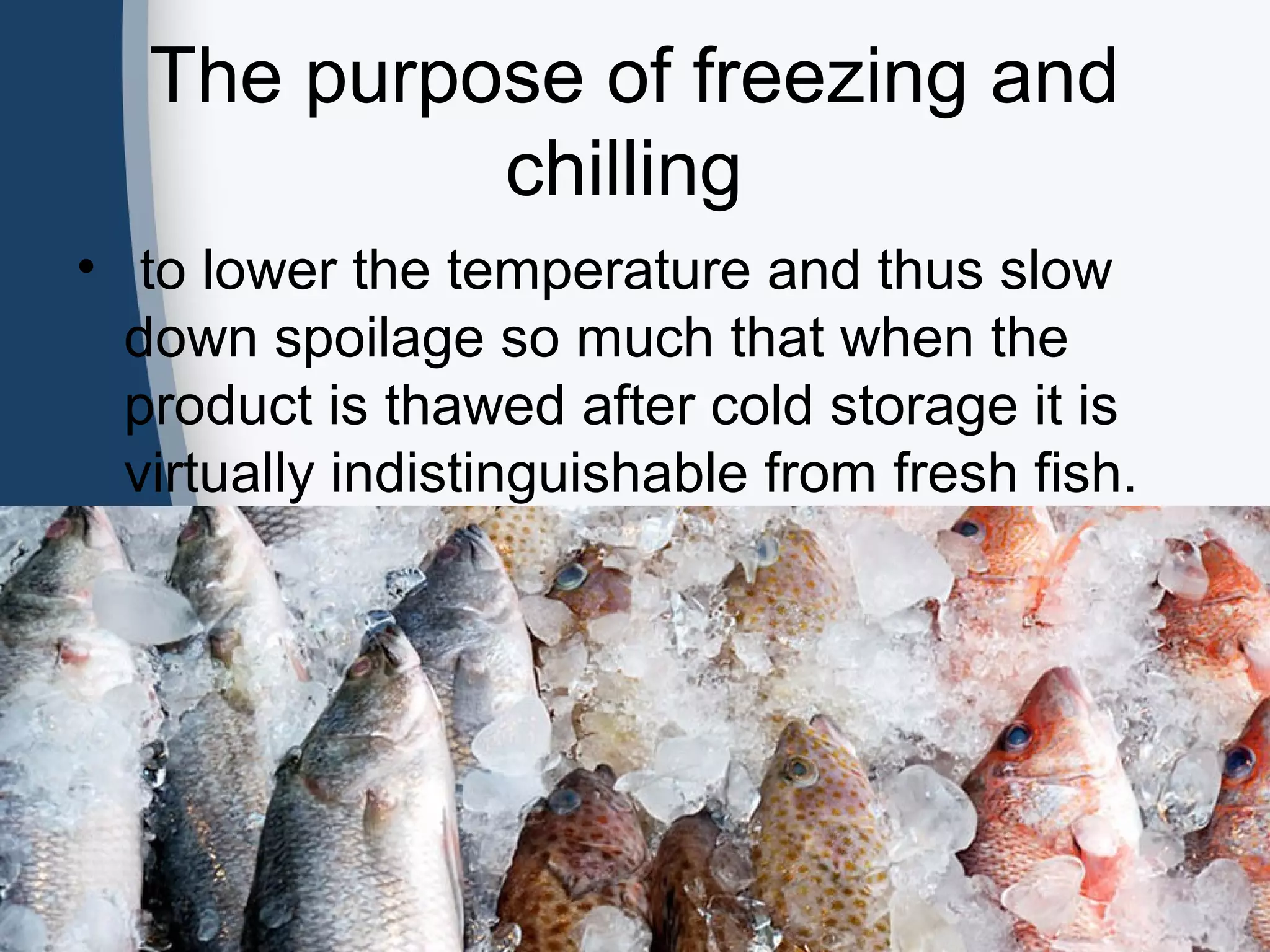 The purpose of freezing and
chilling
• to lower the temperature and thus slow
down spoilage so much that when the
product is thawed after cold storage it is
virtually indistinguishable from fresh fish.
 