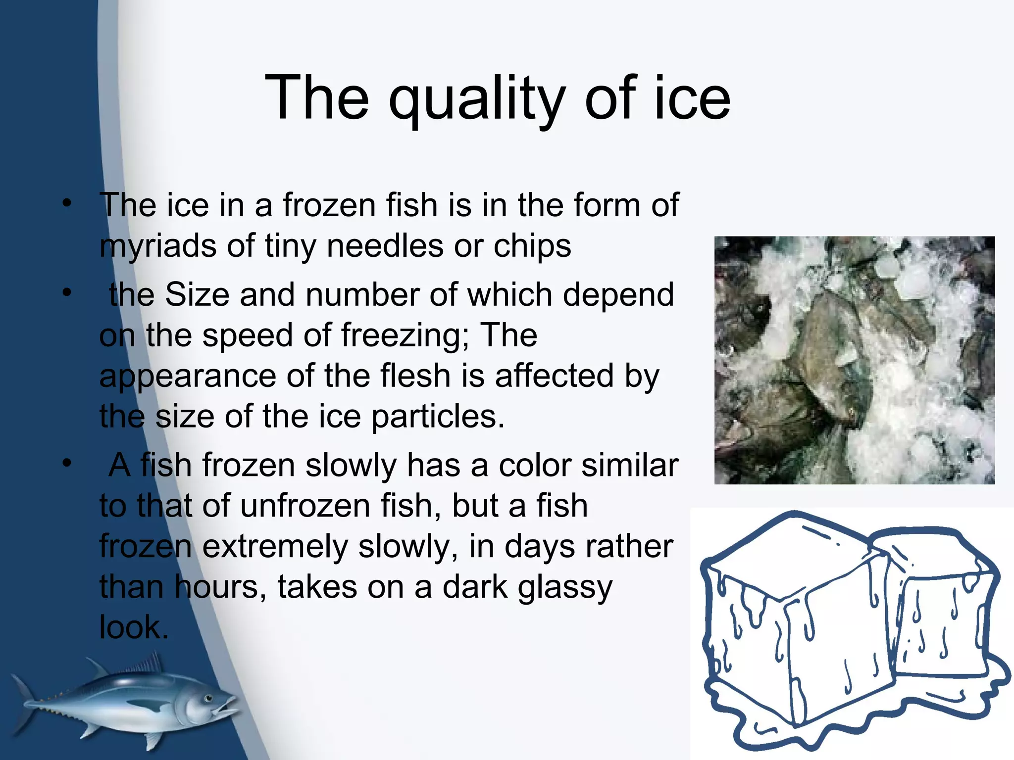 The quality of ice
• The ice in a frozen fish is in the form of
myriads of tiny needles or chips
• the Size and number of which depend
on the speed of freezing; The
appearance of the flesh is affected by
the size of the ice particles.
• A fish frozen slowly has a color similar
to that of unfrozen fish, but a fish
frozen extremely slowly, in days rather
than hours, takes on a dark glassy
look.
 