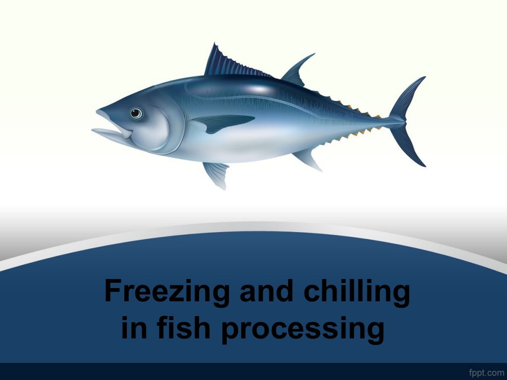 freezing and chilling in fish processing