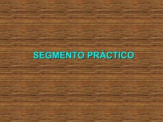 SEGMENTO PRÁCTICOSEGMENTO PRÁCTICO
 