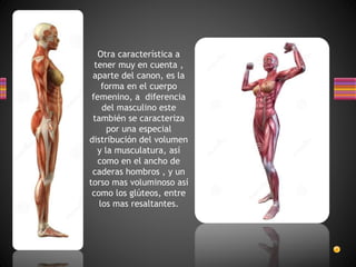 Otra característica a
tener muy en cuenta ,
aparte del canon, es la
forma en el cuerpo
femenino, a diferencia
del masculino este
también se caracteriza
por una especial
distribución del volumen
y la musculatura, así
como en el ancho de
caderas hombros , y un
torso mas voluminoso así
como los glúteos, entre
los mas resaltantes.
 