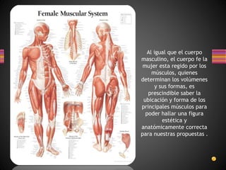 Al igual que el cuerpo
masculino, el cuerpo fe la
mujer esta regido por los
músculos, quienes
determinan los volúmenes
y sus formas, es
prescindible saber la
ubicación y forma de los
principales músculos para
poder hallar una figura
estética y
anatómicamente correcta
para nuestras propuestas .
 
