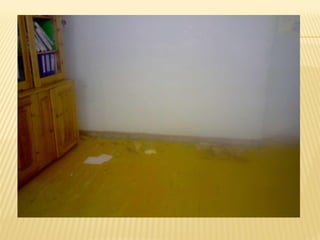 8b e.e.hural 2011.02.23