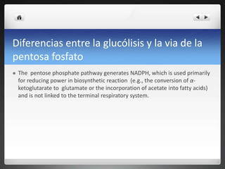 Diferencias entre la glucólisis y la via de la
pentosa fosfato
 The pentose phosphate pathway generates NADPH, which is used primarily
for reducing power in biosynthetic reaction (e.g., the conversion of α-
ketoglutarate to glutamate or the incorporation of acetate into fatty acids)
and is not linked to the terminal respiratory system.
 