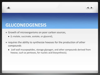 GLUCONEOGENESIS
 Growth of microorganisms on poor carbon sources,
 (L-malate, succinate, acetate, or glycerol),
 requires the ability to synthesize hexoses for the production of other
compounds
 (cell wall mucopeptides, storage glycogen, and other compounds derived from
hexose, such as pentoses, for nucleic acid biosynthesis).
 