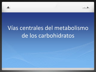 Vías centrales del metabolismo
de los carbohidratos
 