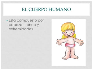 EL CUERPO HUMANO
• Esta compuesto por
cabeza, tronco y
extremidades.