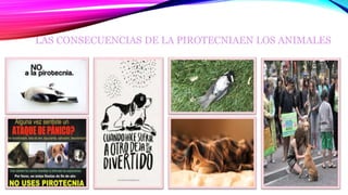 LAS CONSECUENCIAS DE LA PIROTECNIAEN LOS ANIMALES
 