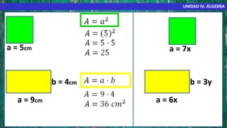 UNIDAD IV: ÁLGEBRA
a = 5cm
a = 9cm
b = 4cm
a = 7x
a = 6x
b = 3y
 