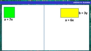 UNIDAD IV: ÁLGEBRA
a = 7x a = 6x
b = 3y
 