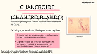 Enfermedades de transmisión sexual (1).pptx